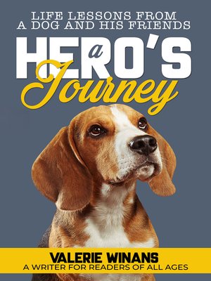 cover image of A Hero's Journey